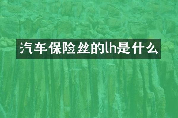 汽车保险丝的lh是什么
