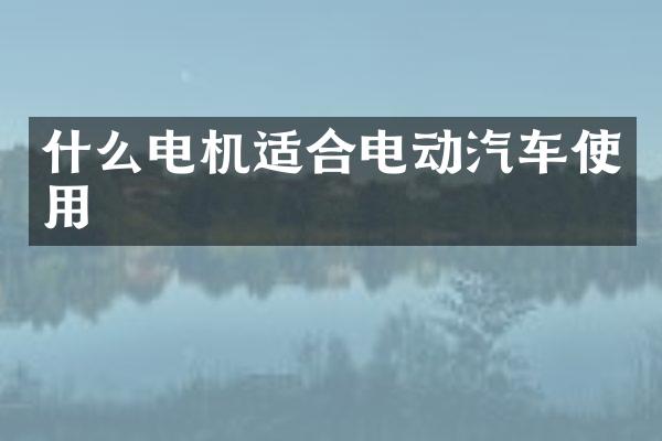 什么电机适合电动汽车使用