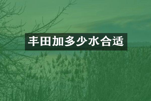 丰田加多少水合适
