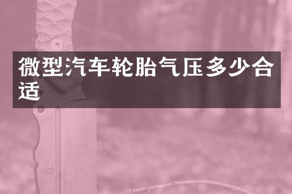 微型汽车轮胎气压多少合适