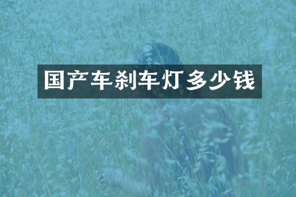 国产车刹车灯多少钱