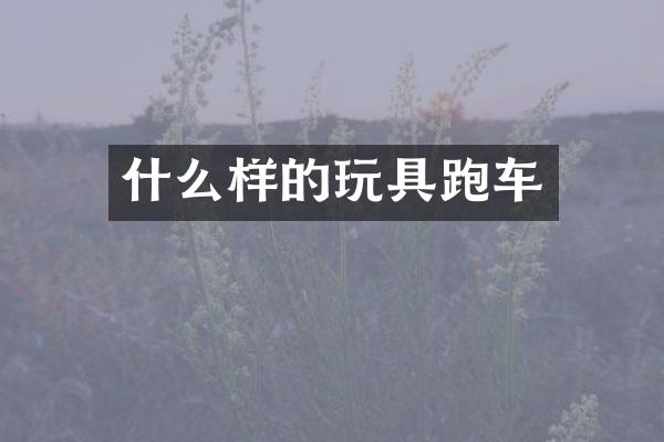什么样的玩具跑车