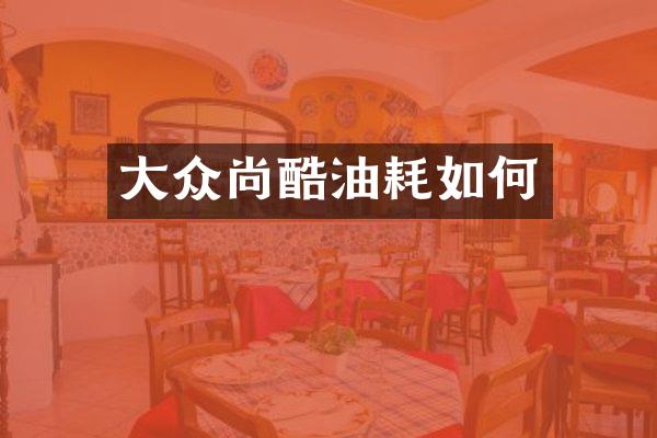 大众尚酷油耗如何
