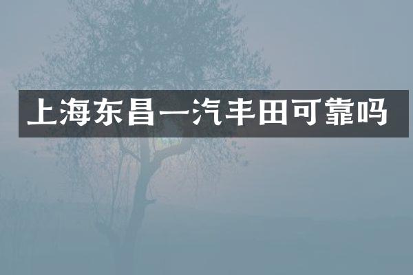上海东昌一汽丰靠吗