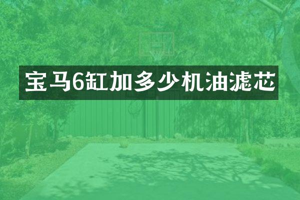 宝马6缸加多少机油滤芯