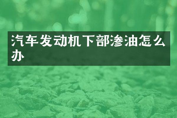 汽车发动机下部渗油怎么办