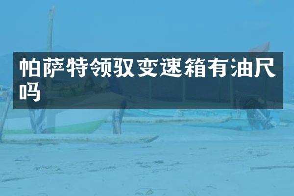 帕萨特领驭变速箱有油尺吗