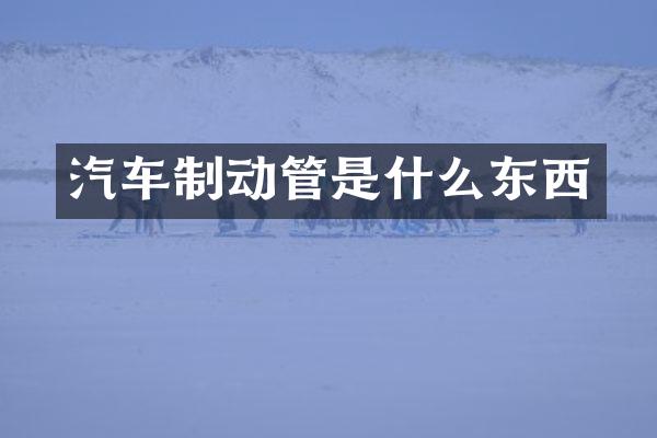 汽车制动管是什么东西