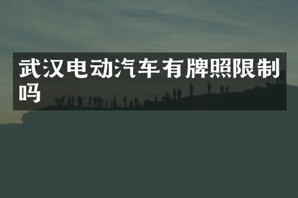 武汉电动汽车有牌照限制吗