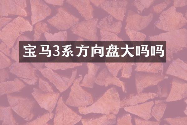 宝马3系方向盘大吗吗