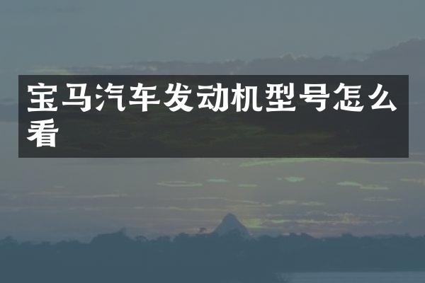宝马汽车发动机型号怎么看