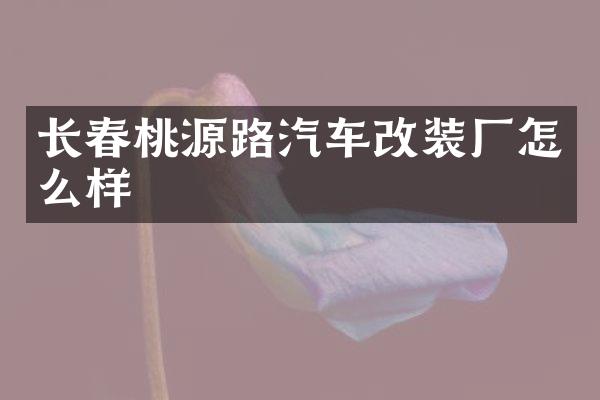 长春桃源路汽车改装厂怎么样