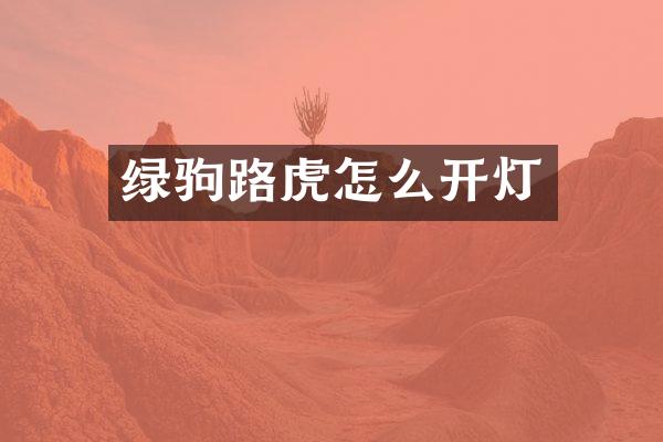 绿驹路虎怎么开灯