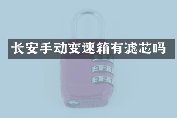 长安手动变速箱有滤芯吗