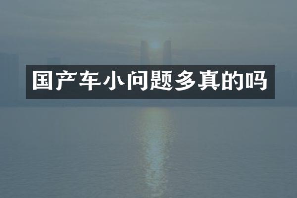 国产车小问题多真的吗