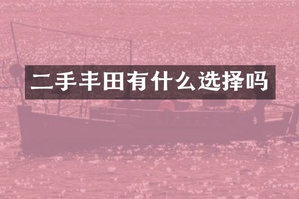 二手丰田有什么选择吗