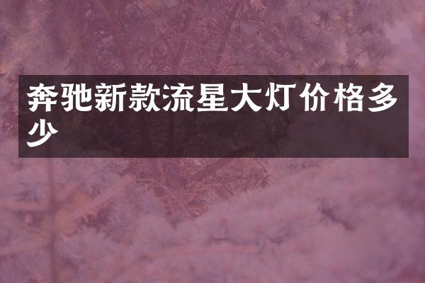 奔驰新款流星大灯价格多少