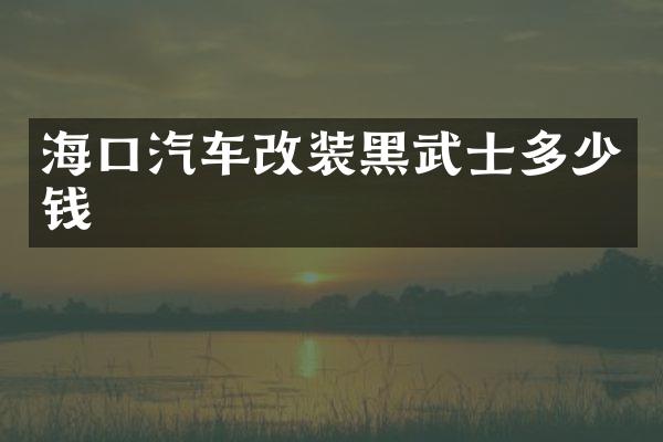 海口汽车改装黑武士多少钱