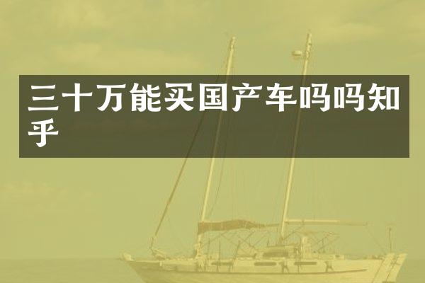 三十万能买国产车吗吗知乎