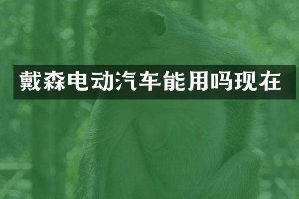 戴森电动汽车能用吗现在