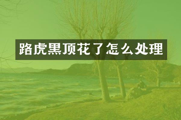 路虎黑顶花了怎么处理