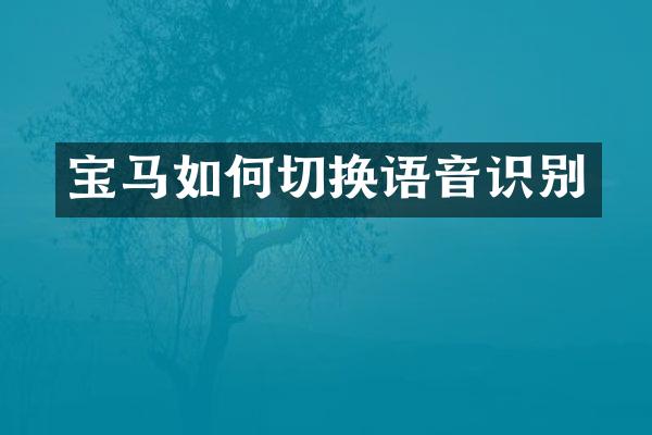 宝马如何切换语音识别