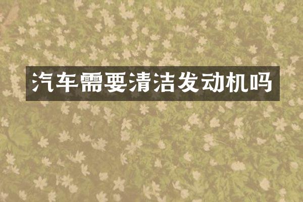 汽车需要清洁发动机吗