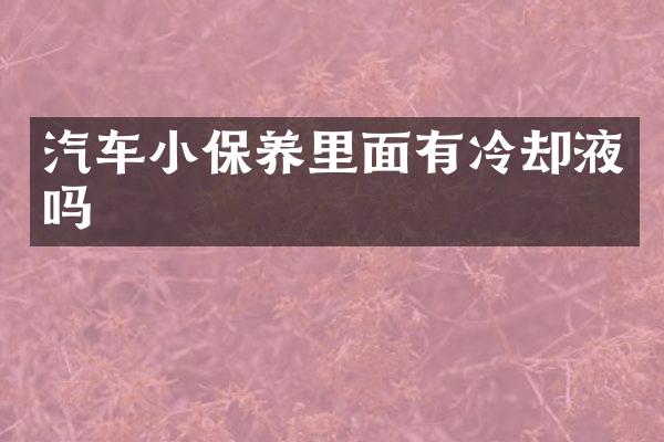 汽车小保养里面有冷却液吗