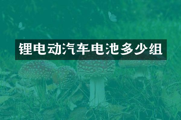 锂电动汽车电池多少组