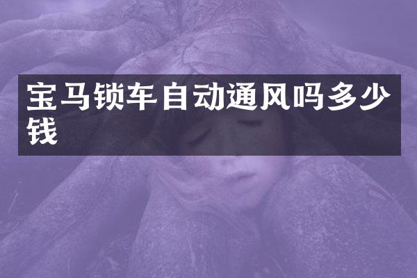 宝马锁车自动通风吗多少钱