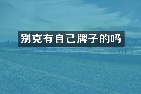 别克有自己牌子的吗