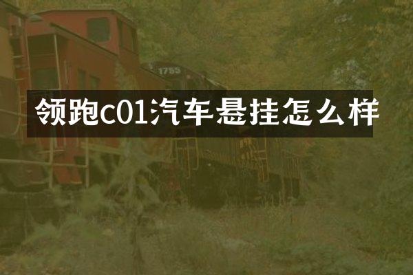 领跑c01汽车悬挂怎么样