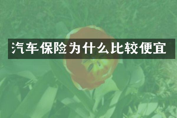 汽车保险为什么比较便宜