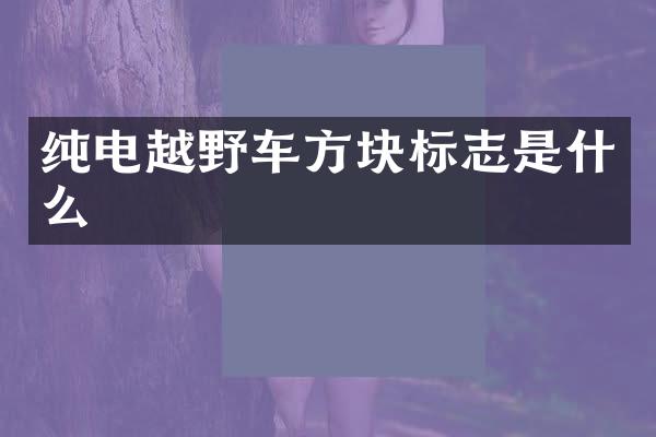 纯电越野车方块标志是什么