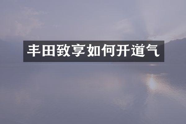丰田致享如何开道气