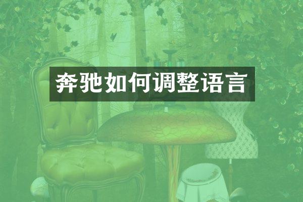 奔驰如何调整语言