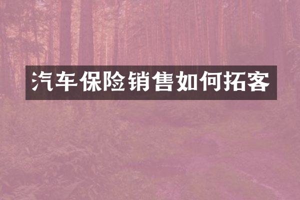 汽车保险销售如何拓客