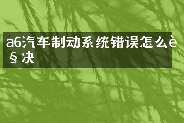 a6汽车制动系统错误怎么解决