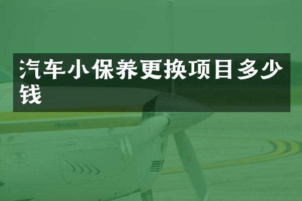 汽车小保养更换项目多少钱