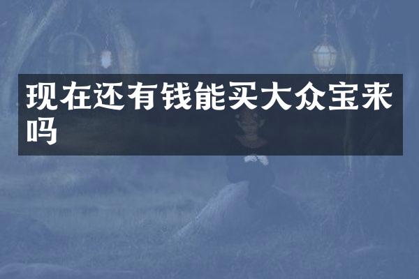 现在还有钱能买大众宝来吗