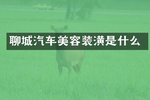 聊城汽车美容装潢是什么