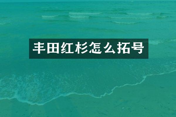 丰田红杉怎么拓号