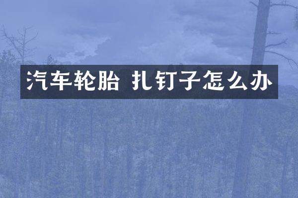 汽车轮胎 扎钉子怎么办