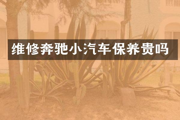 维修奔驰小汽车保养贵吗