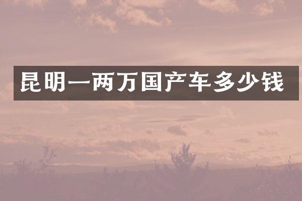 昆明一两万国产车多少钱
