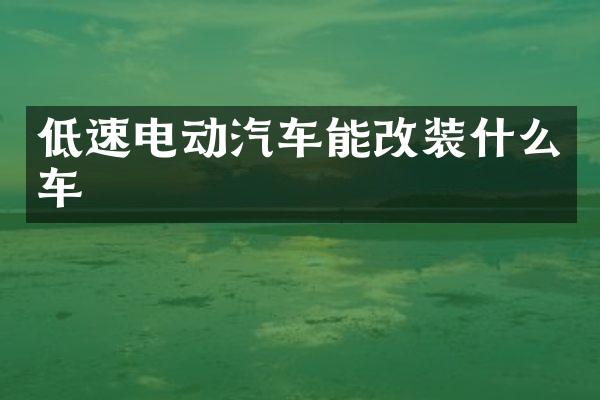 低速电动汽车能改装什么车