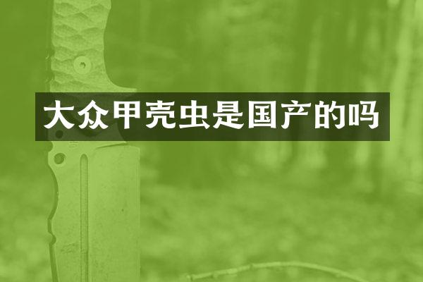 大众甲壳虫是国产的吗
