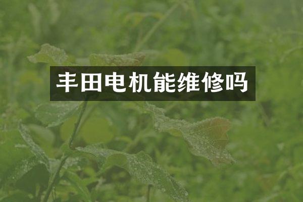 丰田电机能维修吗