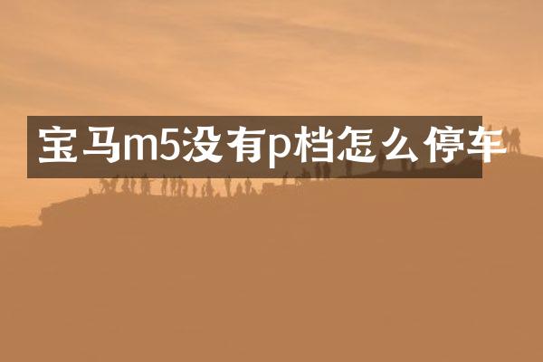 宝马m5没有p档怎么停车