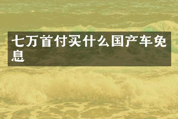 七万首付国产车免息